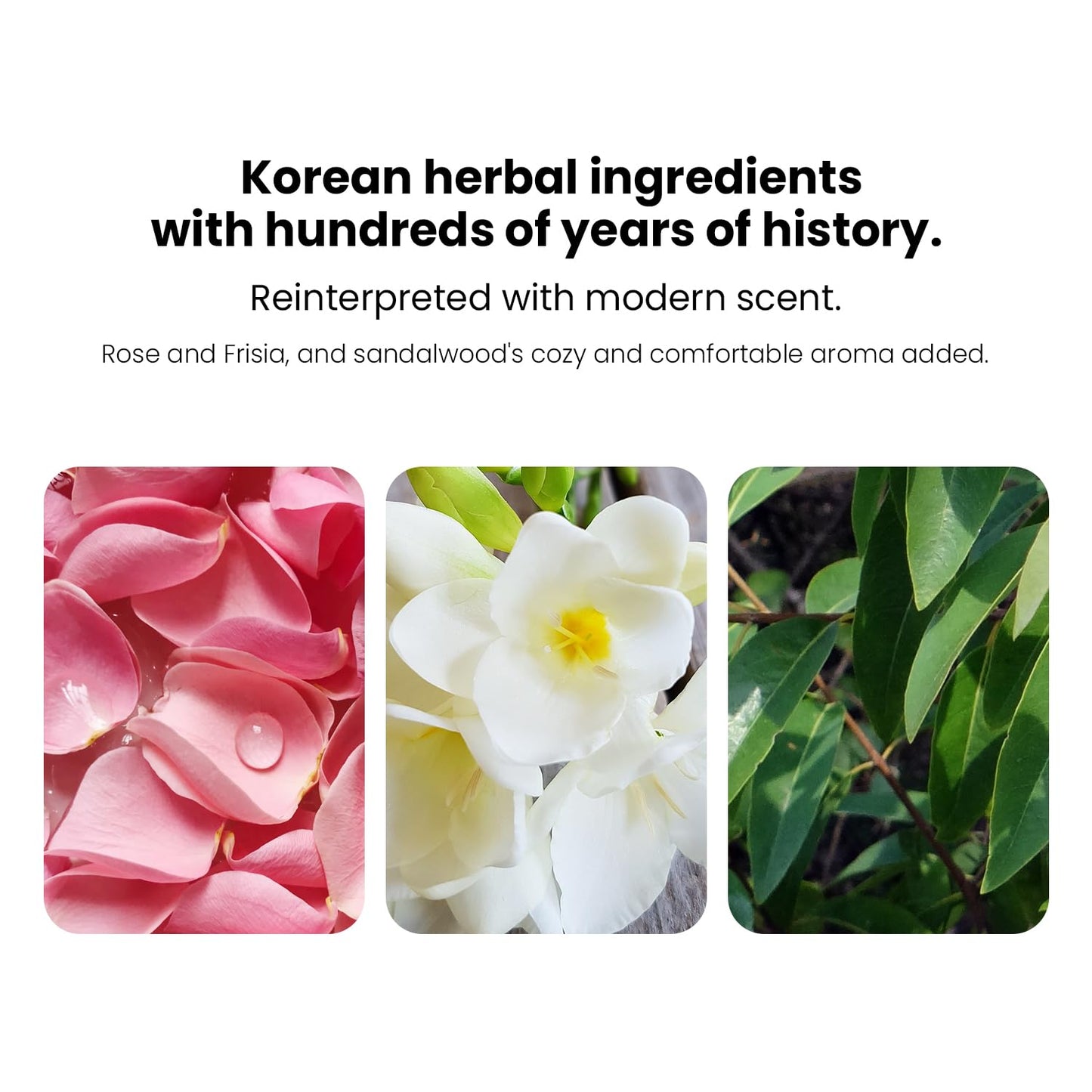 Bon Yeon Jin Skin Care 3-piece Set, Toner 5.4 fl oz(160ml), Emulsion 5.4 fl oz(160ml), Cream 1.69 fl oz(50ml) | Anti-Wrinkle, Moisturizing, Hydrating, Soothing, Korean Skin Care