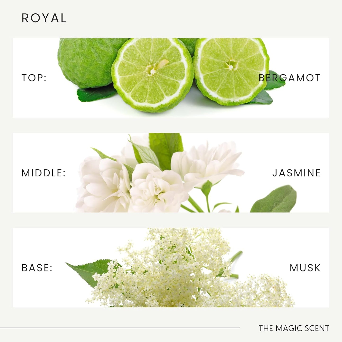 Royal Hotel Diffuser Oil - Cold-Air & Ultrasonic Scented Oils for Diffuser Inspired by The Ritz Hotel, London - Essential Oils for Diffusers Aromatherapy - 8.5 fl oz, 250 mL