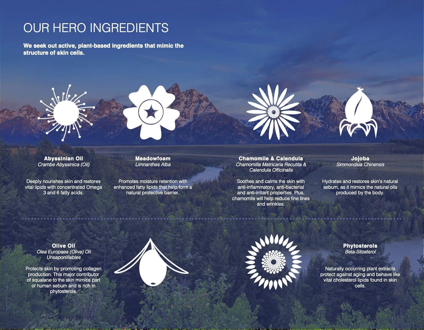 Trilipiderm Hydrating Exfoliant Cleanser – 3-in-1 Face Cleanser, Scrub & Hydrator, Fragrance-Free, Daily Facial Cleanser, Travel Size 3 Ounce Tube