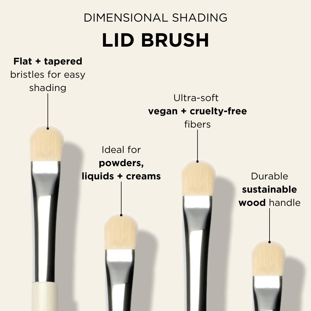 HALEYS Lid Eyeshadow Brush, Medium Flat Tapered Brush, Easy Blending and Shading for Building Eyeshadow Color, High-end Synthetic Bristles, Multi-tasking, for Cream and Powder Makeup, Vegan + CF