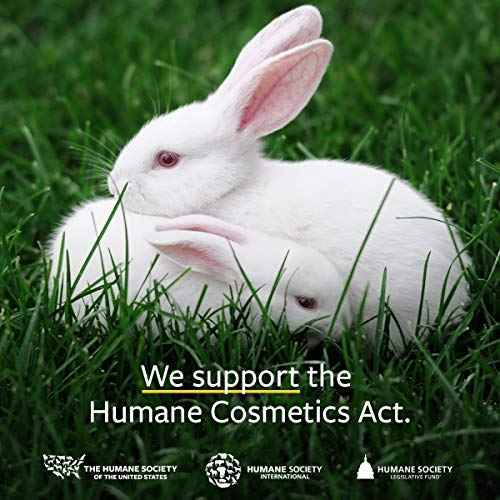 US Organic 100% Pure Cedarwood Essential Oil (Atlas) - USDA Certified Organic, Steam Distilled (More Size Variations Available) (30 ml / 1 fl oz)