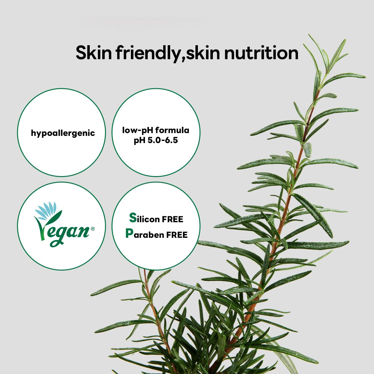 Mediheal Derma 365 Teetree Mask (30 Masks) - Daily Skin Care Mask for Deeply Comforting and Calming Skin with Teatree Active 4X