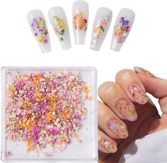 1 Boxes Dried Flowers for Nail Art,Colorful Dry Flowers Mini Real Natural Flowers Nail Stickers DIY Mini Mix Flower Petals Nail Art Supplies for Summer Acrylic Nails Design Manicure Accessories