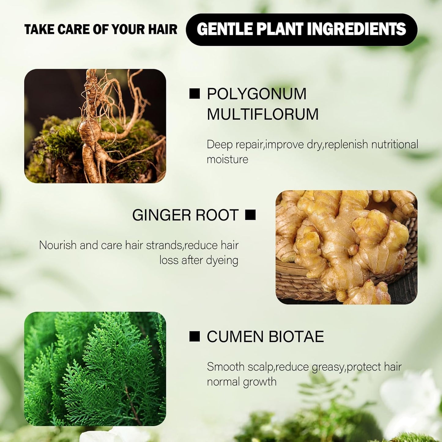 Linen Hair Dye Shampoo,Hair Dye,Hair Color Shampoo,Champu Para Canas 4 in 1 Semi-Permanent Gray Hair Coverage,shampoo para pintar el cabello for Women & Men Herbal Natural Plant (Linen)