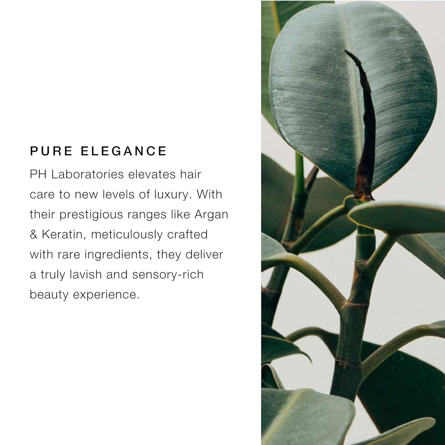 pH PURE HAIR Repair Moisturizing Shampoo 3.38 Oz - Hydrating Shampoo for Dry, Damaged & Color-Treated Hair - Revitalizing, Nourishing Formula to Restore Softness, Shine & Strength