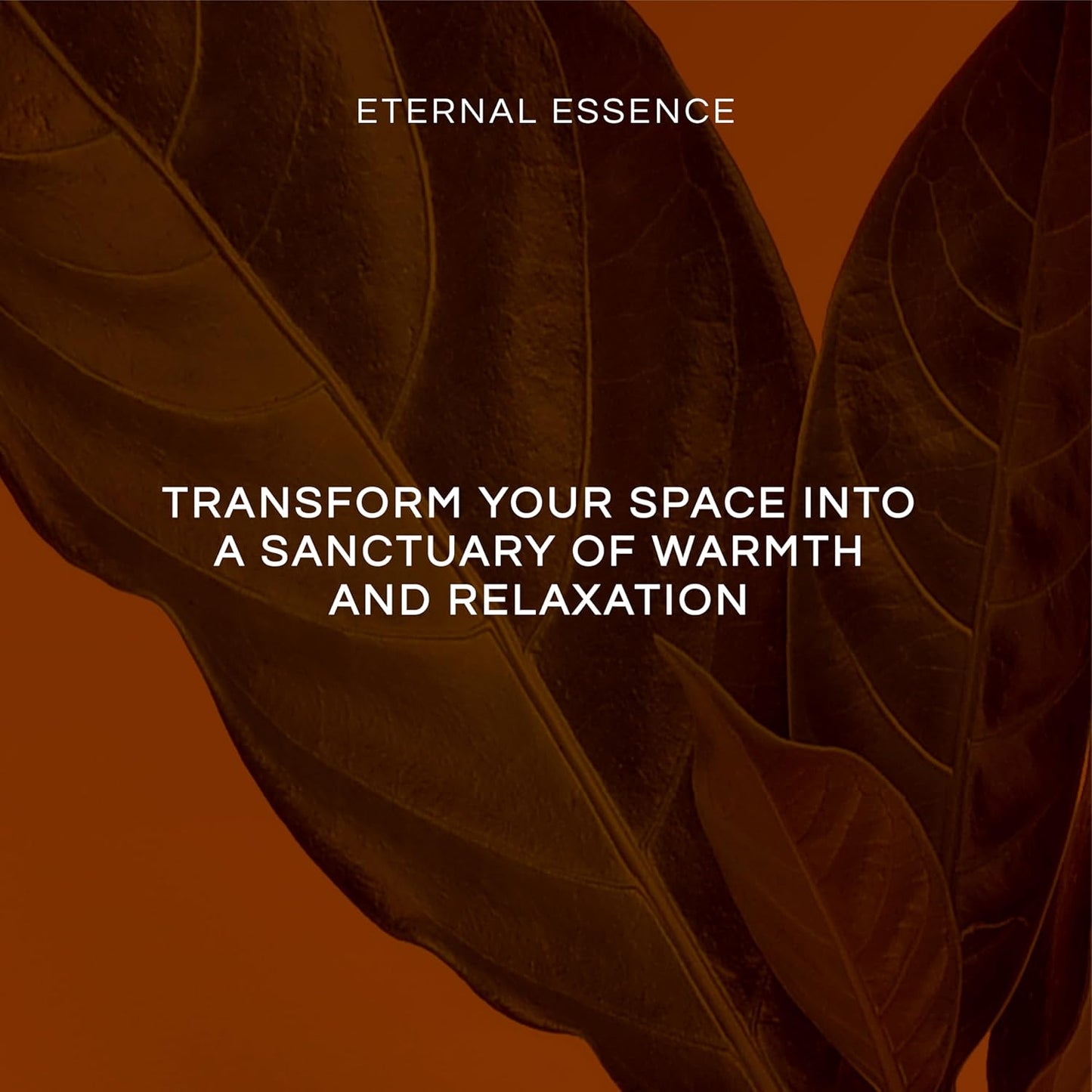 Eternal Essence Oils Fruitalicious Set of 6 Premium Fragrance Oils - Violet Sugar, Kiwi Watermelon, Orange Chiffon Cake, Cucumber Melon, Portuguese Pomelo, and Dragon Fruit Berry Scented Oils - 10ML