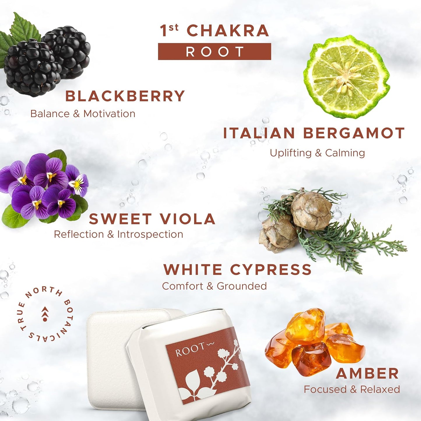 Large Shower Steamers (12 Pack-1.75oz Each) Chakra Aromatherapy Optimism & Self-Esteem-Ideal Men/Women/Teens Christmas & Birthdays (1st Chakra - Blackberry, Amber, Bergamot, Viola)