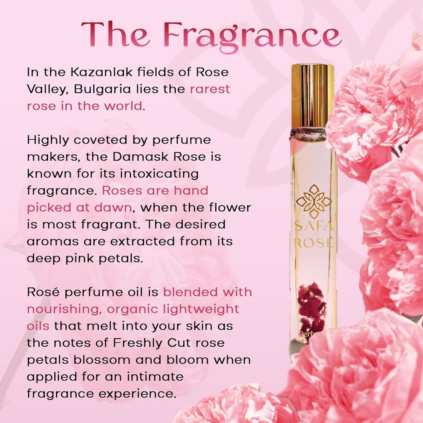 SAFA Rosé Organic Rose Oil Perfume Roller | Bulgarian Damask & Indian Rose Petals | 10 mL Long Lasting Perfume Oil for Women & Men | Non-Toxic, Alcohol-Free & Travel Friendly