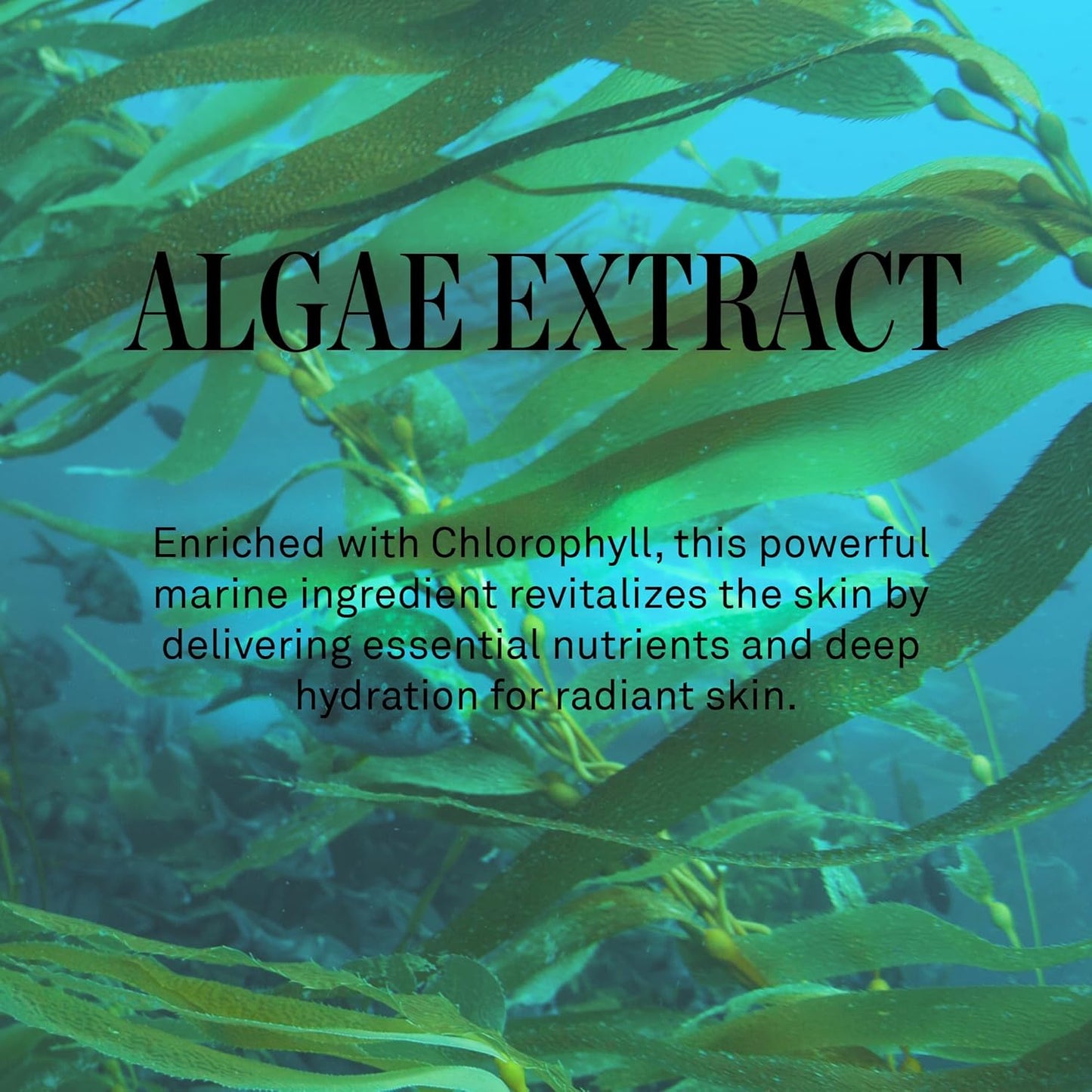 Joanna Vargas Eye Gel Mask – Hydrating Under Eye Patches with Hyaluronic Acid & Chamomile – Depuffing Eye Mask for Dark Circles, Puffiness & Fine Lines – Gel Eye Pads for Women – 5 Pairs