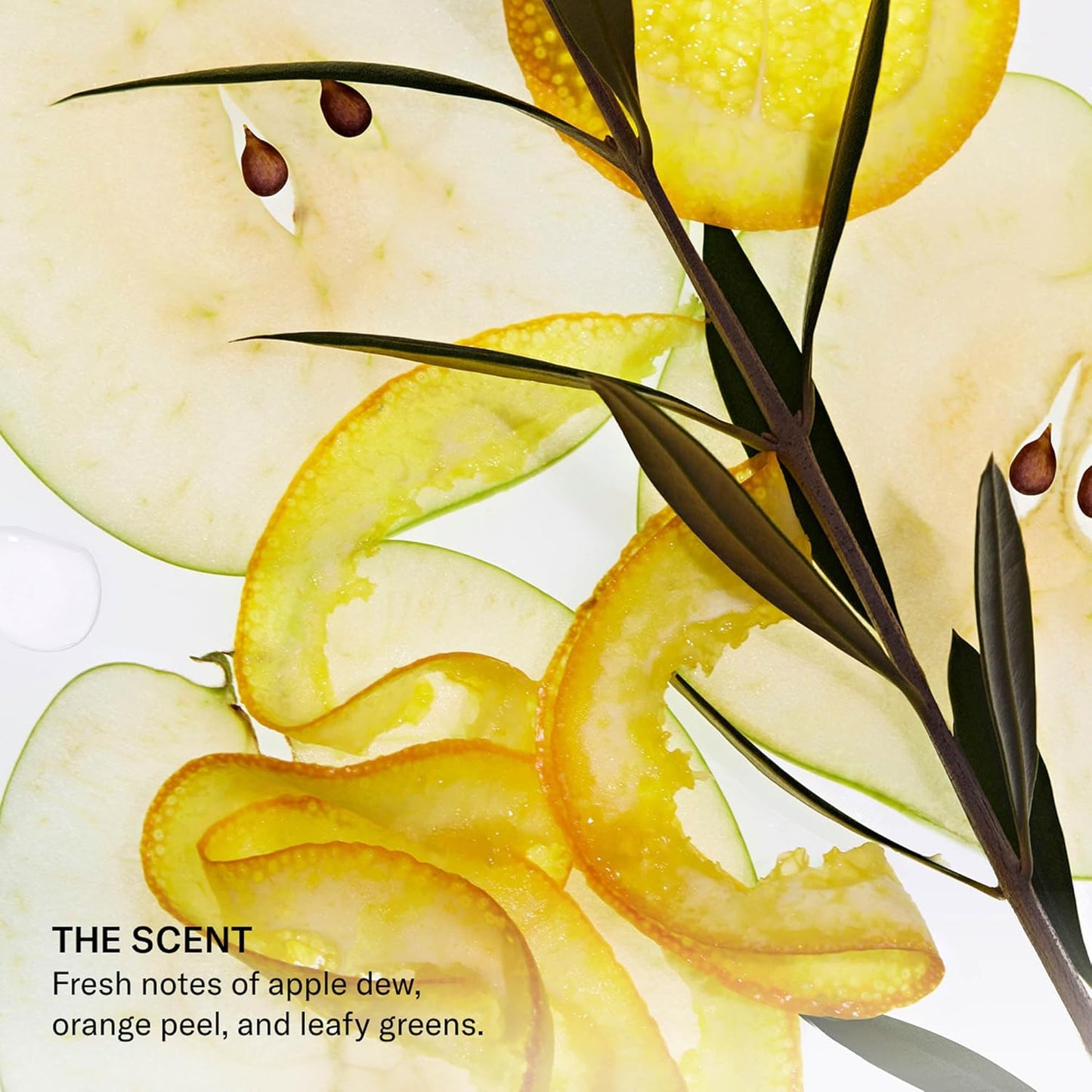 SEEN Body Wash Eco-Refill- Non-Comedogenic & Non-Irritating Body Wash- Dermatologist-Developed - Safe for Sensitive & Acne Prone Skin