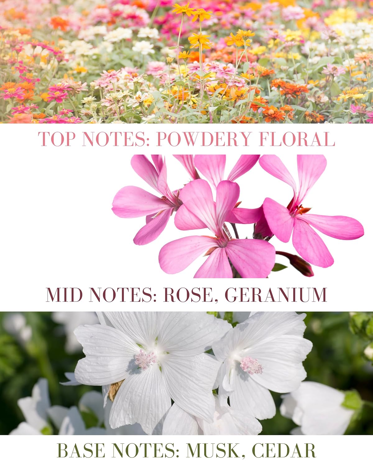 Baby Powder Natural Hair & Body Mist Spray, Twin Pack, Pure Essential and Fragrance Oils, Alcohol-Free, Handmade in California, Twin Pack (2 x 0.5Fl Oz)